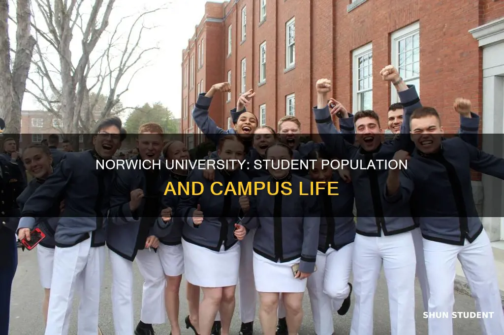 how many students attend norwich university