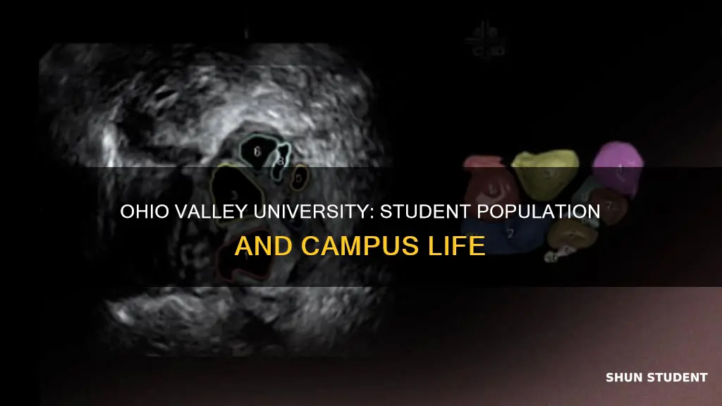 how many students attend ohio valley university