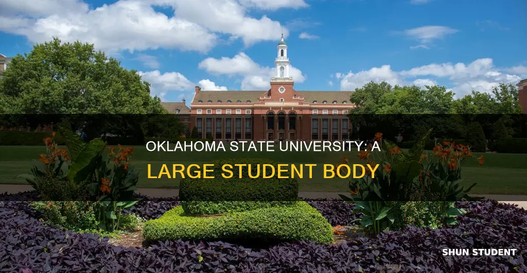 how many students attend oklahoma state university