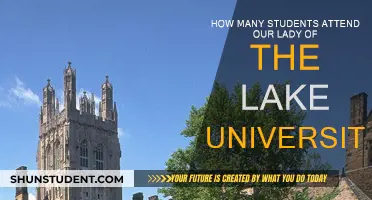 Our Lady of the Lake University: Student Population Insights