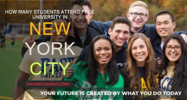 Pace University: NYC Student Population Insights