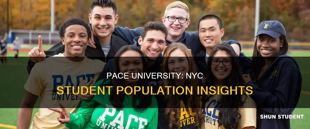 how many students attend pace university in new york city