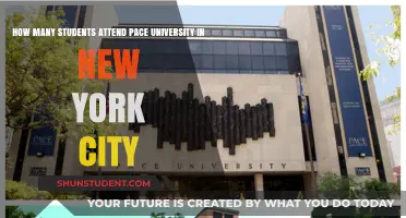 Pace University's Student Population in NYC