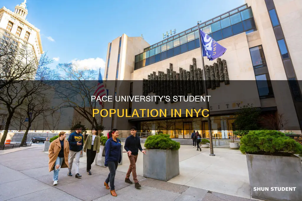 how many students attend pace university in new york city