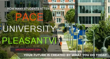 Pace University Pleasantville: Student Population and Campus Life