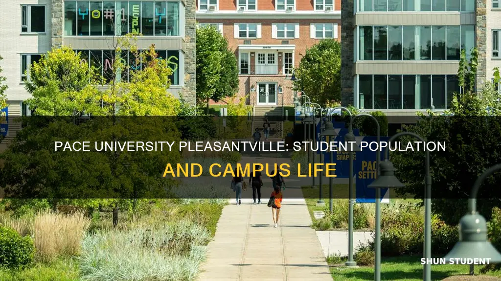 how many students attend pace university pleasantville