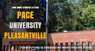 Pace University Pleasantville: Student Population Insights