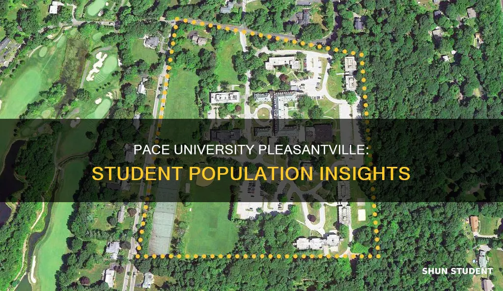 how many students attend pace university pleasantville