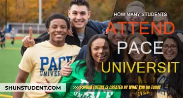 Pace University's Student Population: How Many Attend?