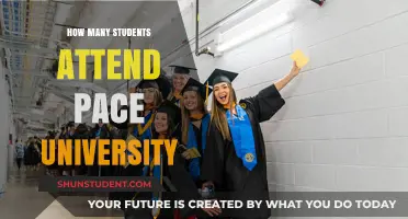 Pace University: Student Population and Campus Life
