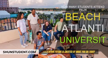 Palm Beach Atlantic University: Student Population Insights