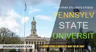 Pennsylvania State University: A Student Population Overview