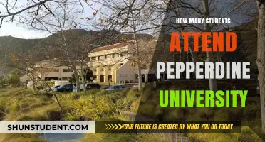 Attendee Numbers at Pepperdine University: Current Statistics