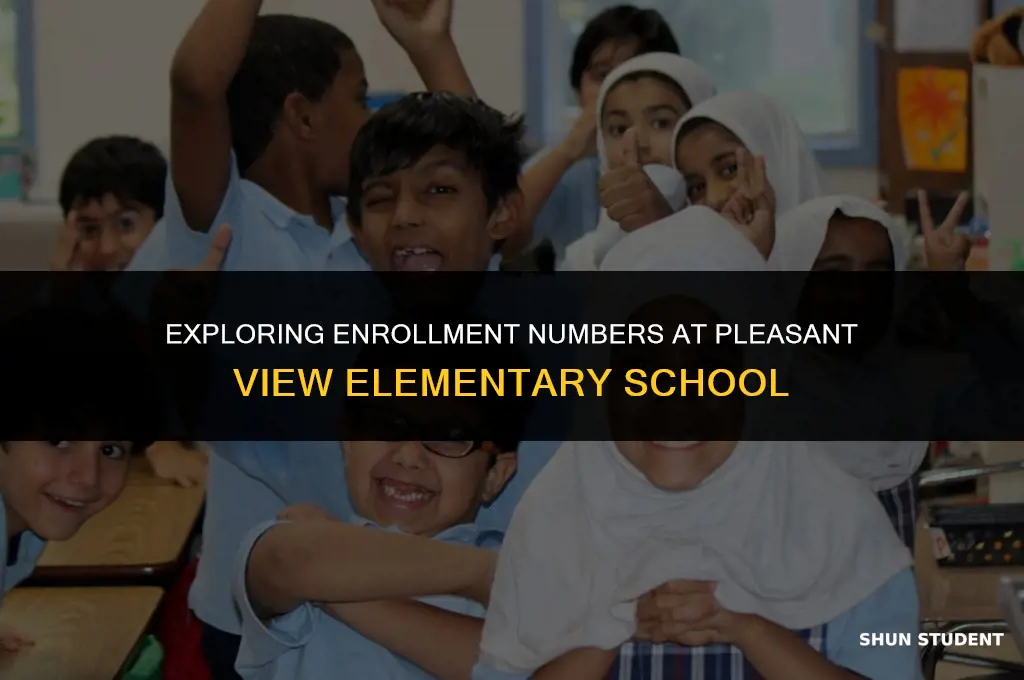 how many students attend pleasant view elementary school