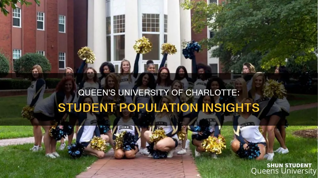 how many students attend queens university of charlotte