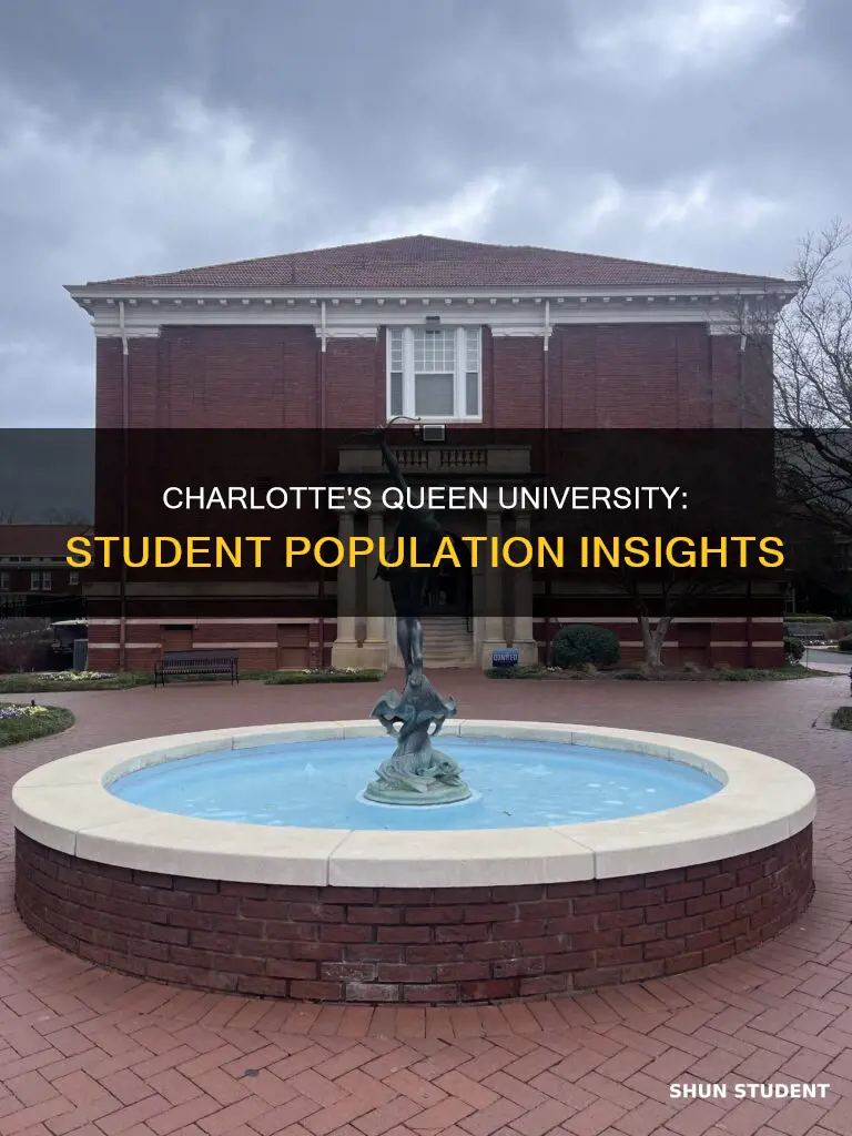 how many students attend queens university of charlotte