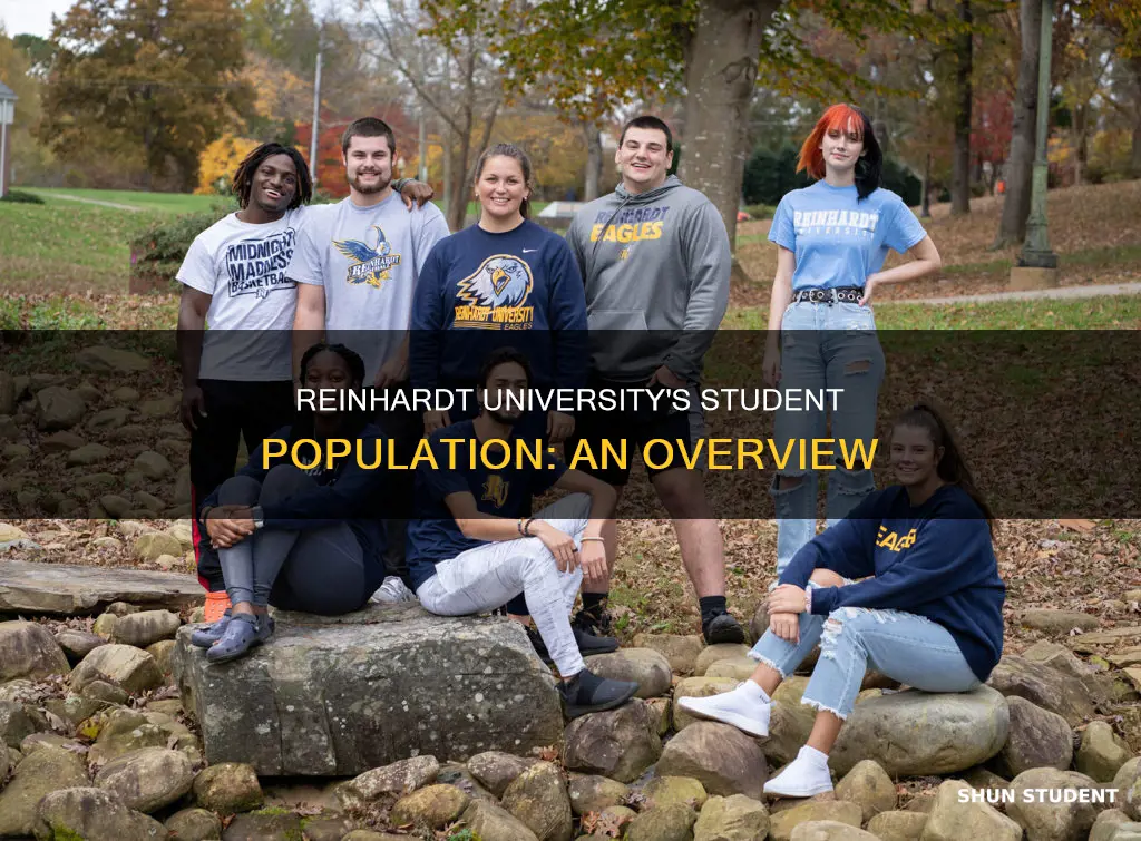 how many students attend reinhardt university