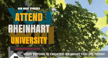Exploring Rheinhart University's Student Population