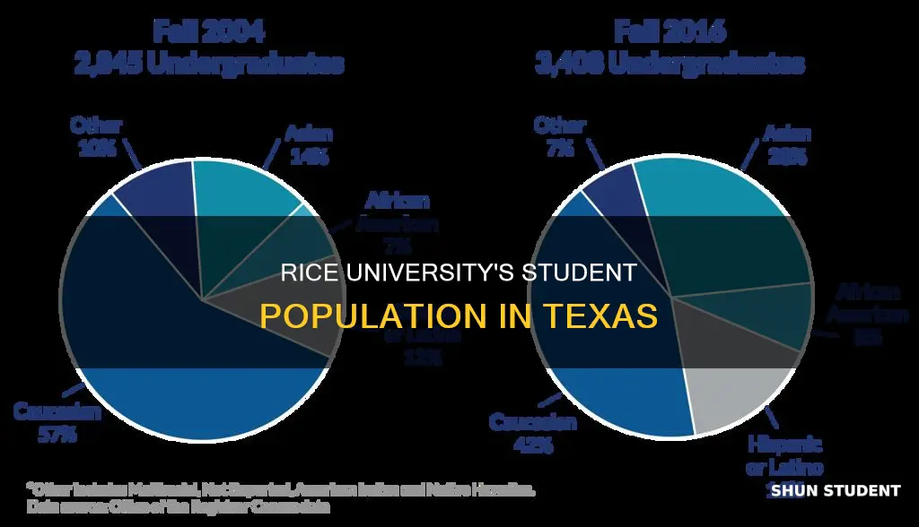 how many students attend rice university in texas