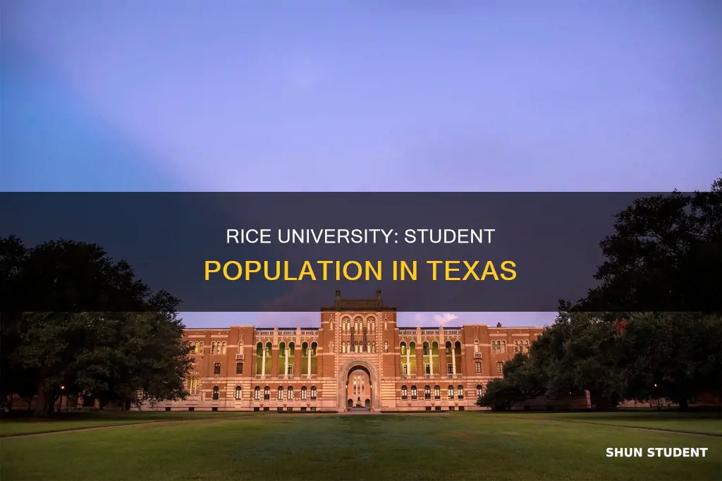 how many students attend rice university in texas