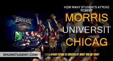 Robert Morris University Chicago: Student Population Insights