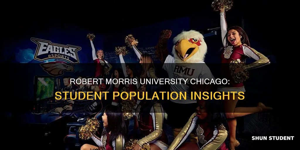 how many students attend robert morris university chicago