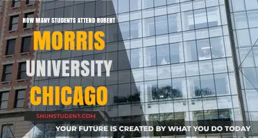 RMU Chicago: Student Population and You