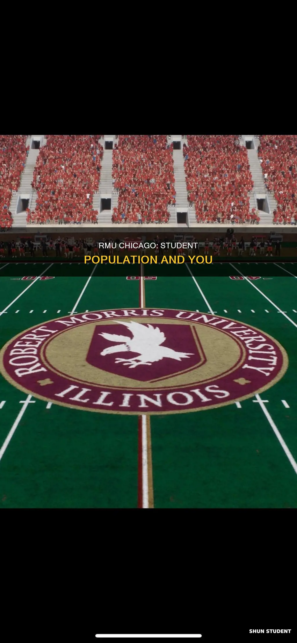 how many students attend robert morris university chicago