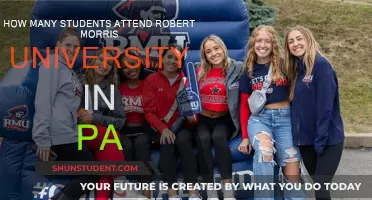 Robert Morris University: Student Population in Pennsylvania