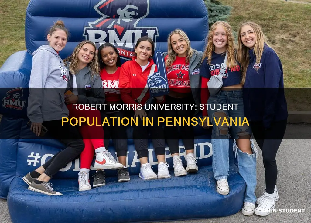 how many students attend robert morris university in pa