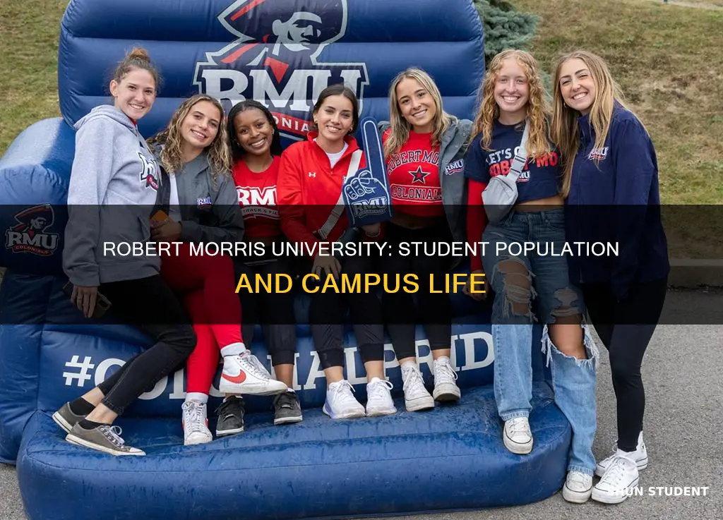 how many students attend robert morris university