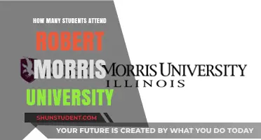 Robert Morris University: Student Population Insights