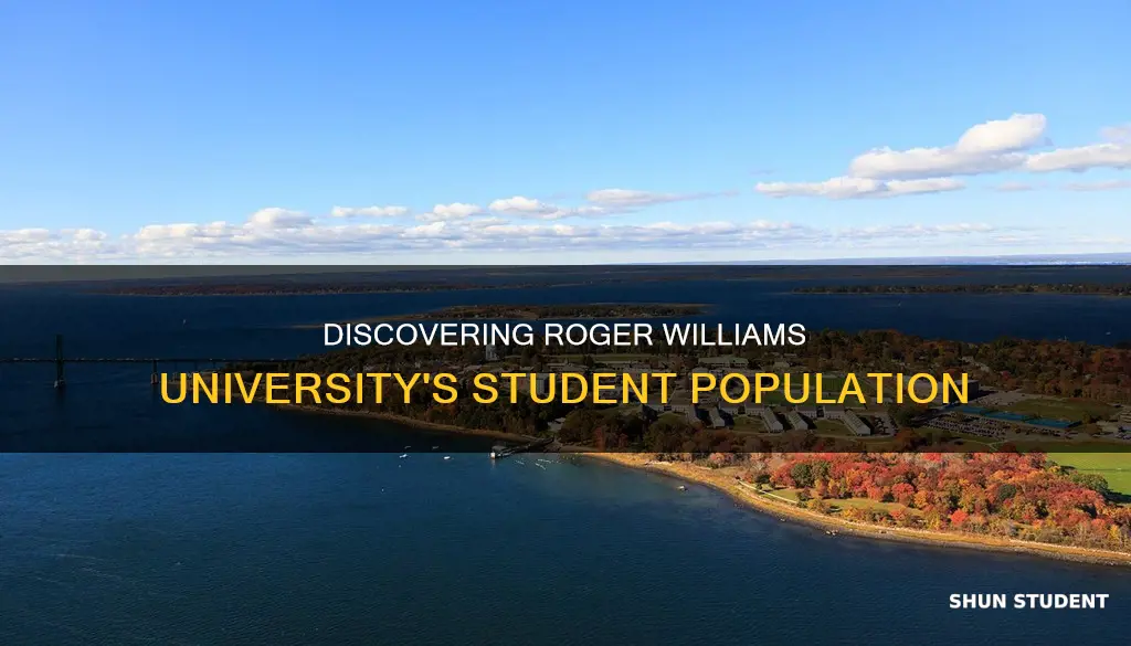 how many students attend roger williams university