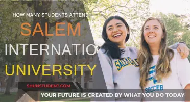 Salem International University: Student Population and Insights