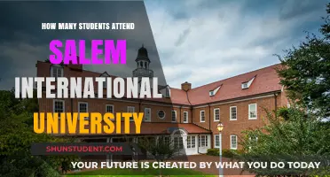 Salem International University: Student Population Insights