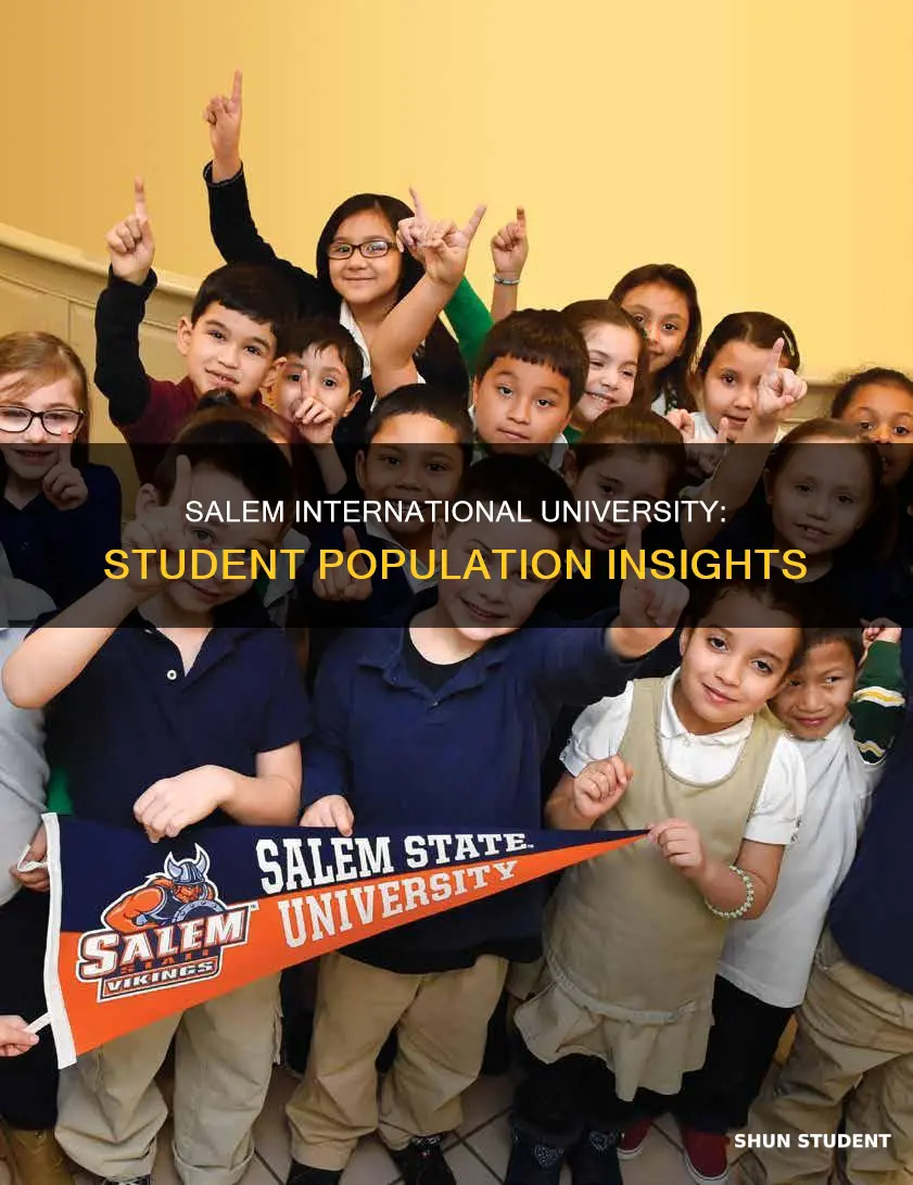 how many students attend salem international university