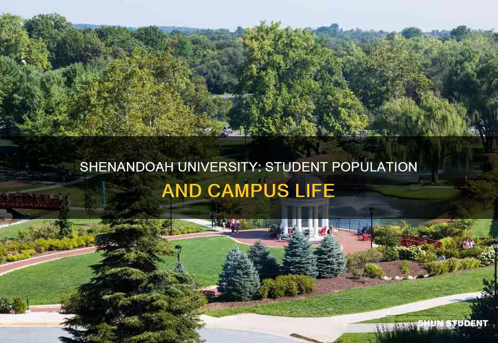 how many students attend shenandoah university