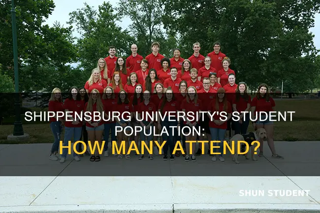 how many students attend shippensburg university