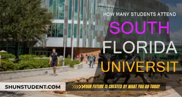 Exploring South Florida University's Student Population