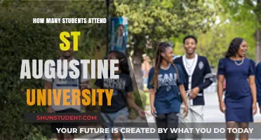 St. Augustine University Student Population: How Many?