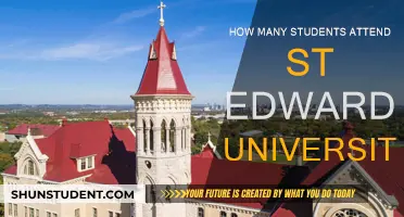 St. Edward's University: Student Population and Campus Life