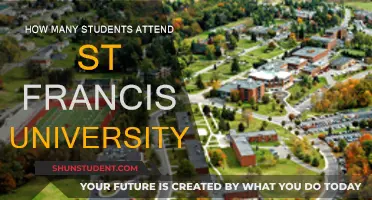 St. Francis University: Student Population and Campus Life