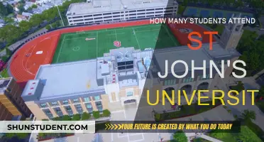 St. John's University: A Vibrant Community of 20,000 Students