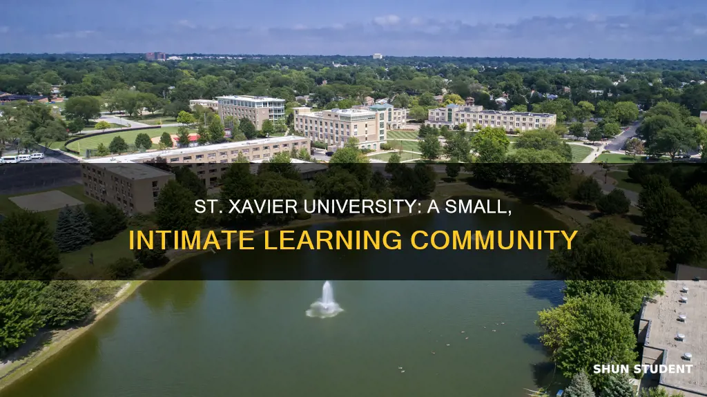 how many students attend st xavier university in chicgo