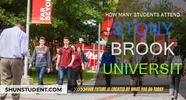 Stony Brook University: A Large Student Body?