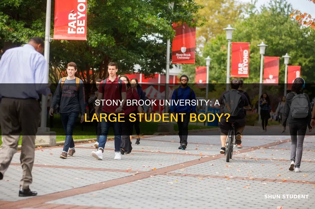 how many students attend stony brook university