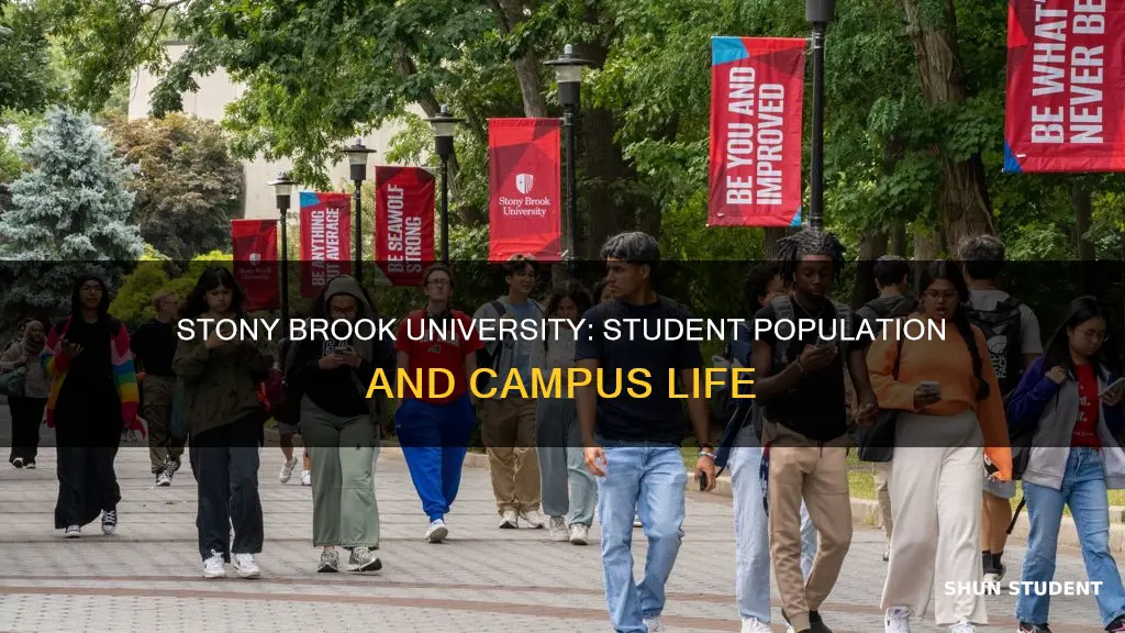 how many students attend stony brook university