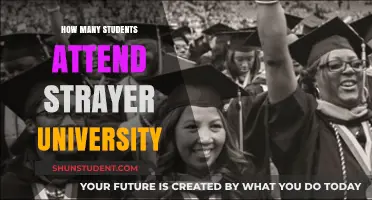 Strayer University: Enrollment and Student Population Insights