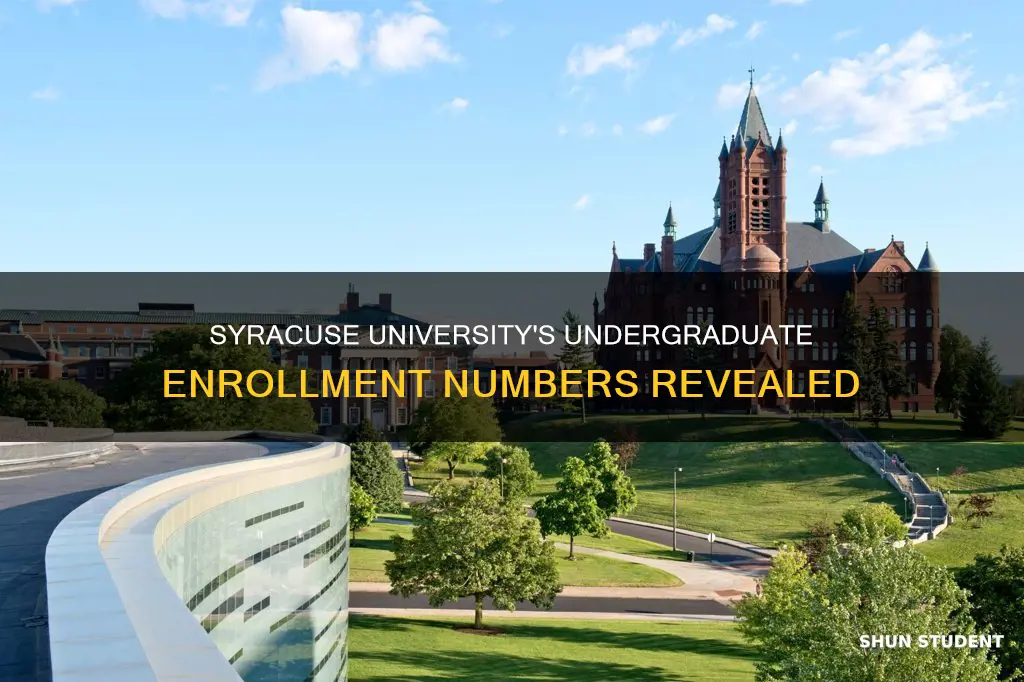 how many students attend syracuse university undergrad