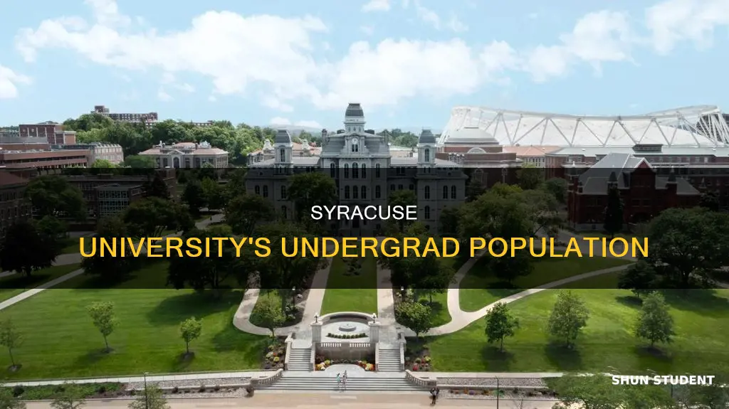 how many students attend syracuse university undergrad